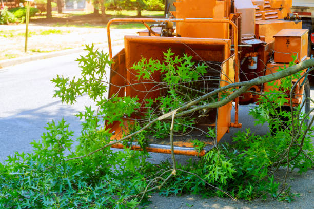 Best Soil Testing and Treatment  in Lakeview Estates, GA