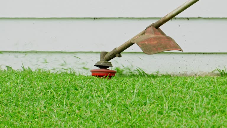 Artificial Turf Installation in Lakeview Estates, GA